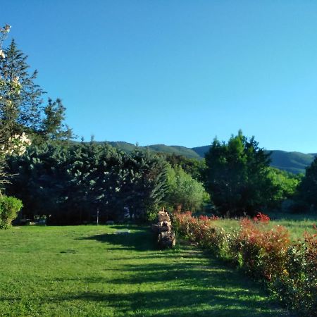 Lou Vergié maison provençale au pied du Luberon Vila Saint-Martin-de-Castillon Exterior foto